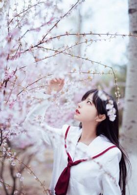 《罗曼蒂克消亡史》完整版_超清免费观看